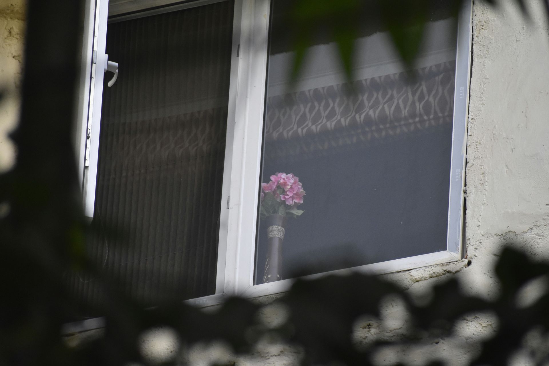 Pink flowers in a vase on a windowsill