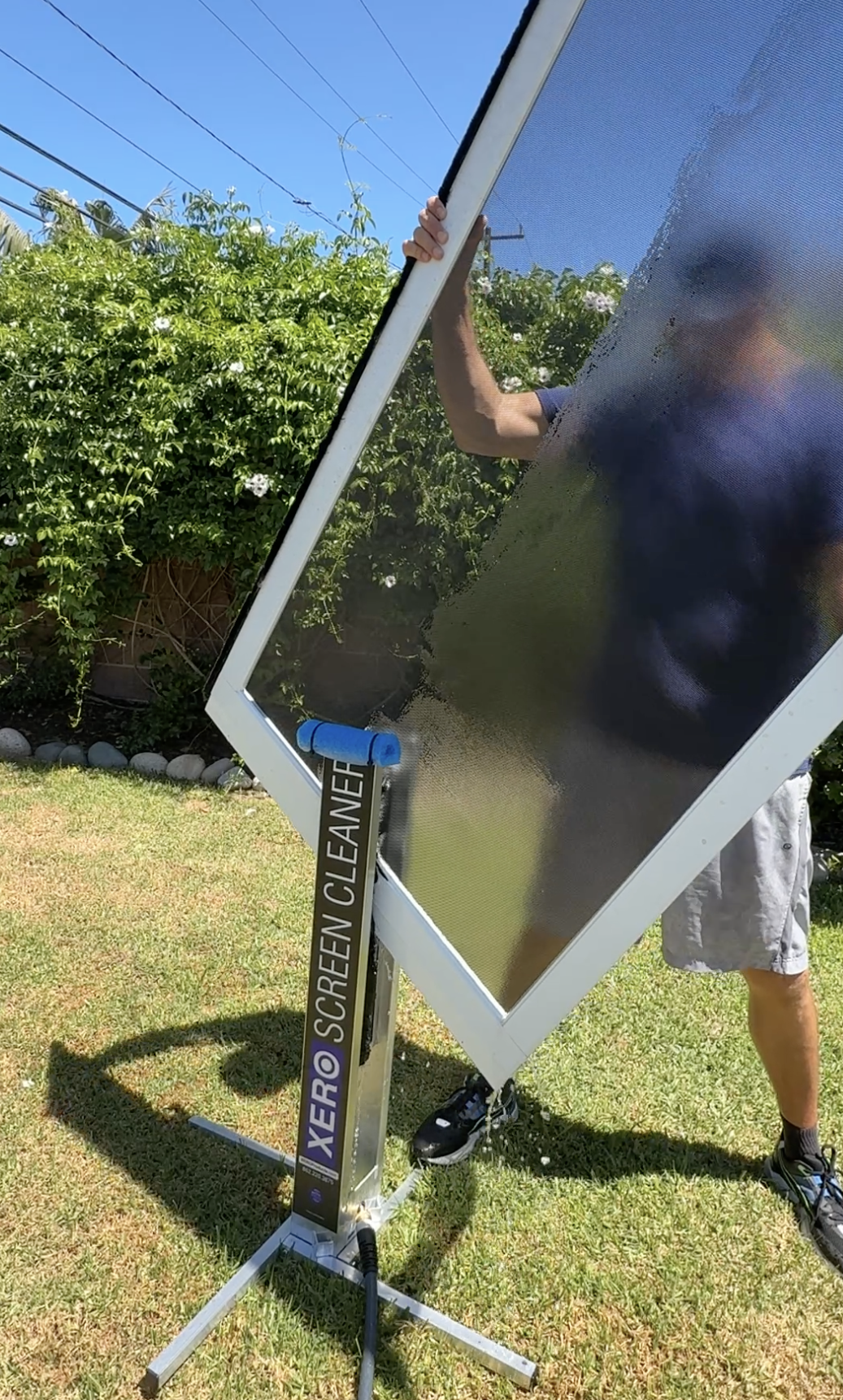 Window Screen Cleaning